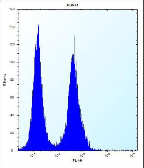 Polyclonal Rabbit anti-Human SNX25 Antibody (aa399-426, WB)