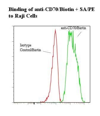 CD27L / CD70 Antibody (clone BU69, Biotin)