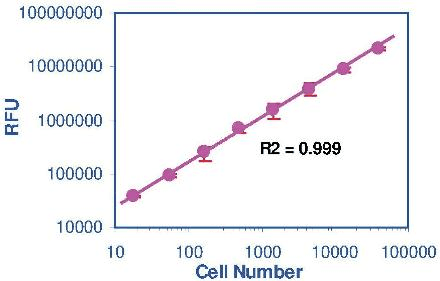 Resorufin Blue Cell Viability Assay Kit (Fluorometric)