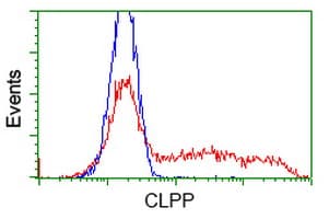 CLPP Antibody (clone OTI1G9)