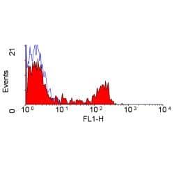 Monoclonal Mouse anti-Bovine CD8 Antibody (clone CC63, FITC)