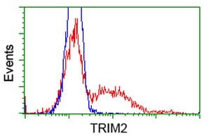 KIAA0517 / TRIM2 Antibody (clone OTI1D12)