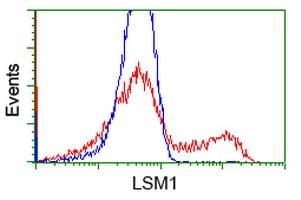 Monoclonal Mouse anti-Human LSM1 Antibody (clone OTI5C6, IHC, IF, WB)