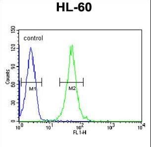 RGR Antibody (aa265-291)