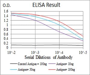 SSH1 Antibody (clone 1A5C8)