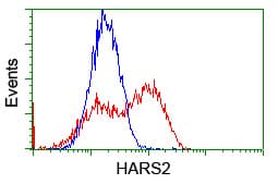 HARS2 Antibody (clone OTI2D6)