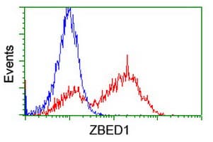 ZBED1 / TRAMP Antibody (clone OTI2H3)