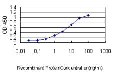 Monoclonal Mouse anti-Human SH3BGRL Antibody (clone 3B8, WB)
