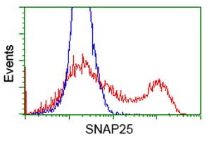 SNAP25 Antibody (clone OTI4F3, Carrier-free)