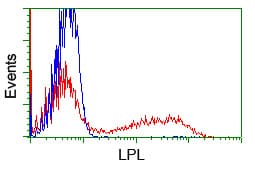 LPL / Lipoprotein Lipase Antibody (clone OTI3A10)