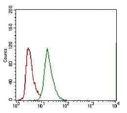 ABCG5 Antibody (aa300-500, clone 1B5E10)