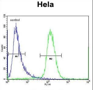 SCHIP1 Antibody (aa90-118)