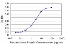 Monoclonal Mouse anti-Human BOULE / BOLL Antibody (clone 3E10, IHC, WB)