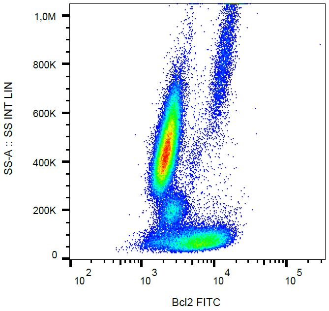 BCL2 / Bcl-2 Antibody (aa41-54, clone Bcl-2/100, FITC)