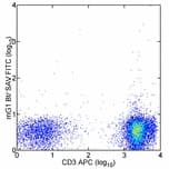 Monoclonal Mouse Allophycocyanin Antibody (clone APC-6A2, Biotin)