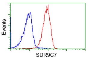SDR9C7 Antibody (clone OTI10B4)