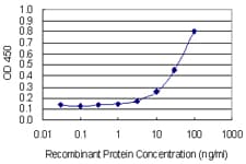MMP3 Antibody (clone 4C11)
