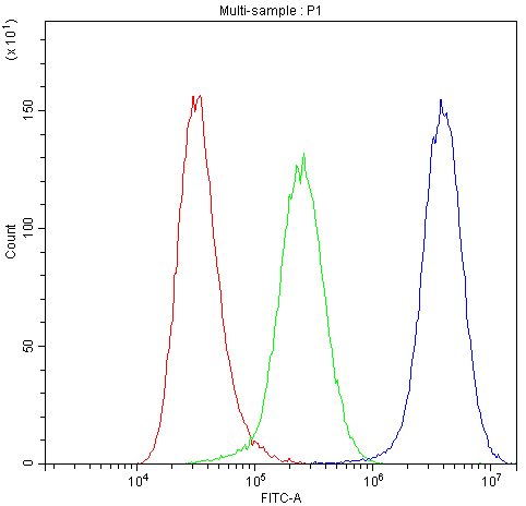 ADO Antibody (DY488)