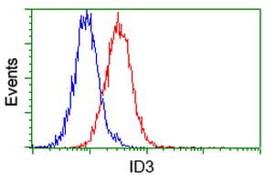 Monoclonal Mouse anti-Human ID3 Antibody (clone OTI12C7, IHC, IF, WB)