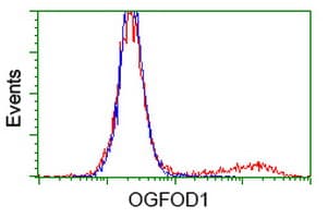 Monoclonal Mouse anti-Human OGFOD1 Antibody (clone OTI1G6, WB)