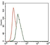 ENO2 / NSE Antibody (Amino Acid: 251-433, clone 5D3)