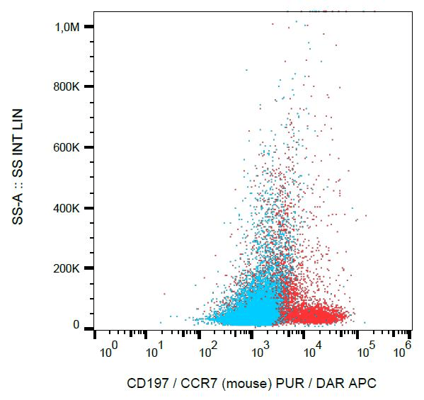 CCR7 Antibody (clone 4B12)