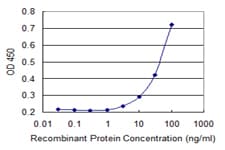 FBX09 / FBXO9 Antibody (clone 1G12)