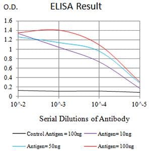 HNRPM / HNRNPM Antibody (clone 5G6C11)