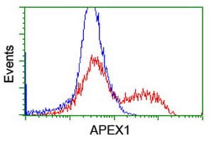 IHC-plus™ APEX1 / APE1 Antibody (clone 6E10)