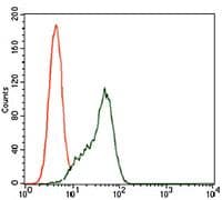 STAT5A Antibody (Amino Acid: 583-794, clone 6D4)
