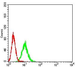 JAG1 / Jagged 1 Antibody (clone 6A9B2)