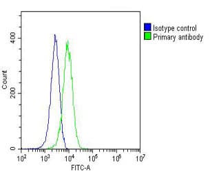 TERF2IP / RAP1 Antibody (clone 1664CT564.52.88)