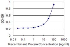 NTF4 / Neurotrophin 4 Antibody (clone 1G12)
