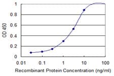CGB / hCG Beta Antibody (clone 3B4)