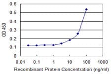 Monoclonal Mouse anti-Human DFNA5 Antibody (clone 1E10, WB)