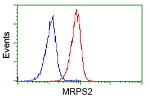 MRPS2 Antibody (clone OTI4D6)