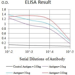IL10RB Antibody (clone 5B3F2)