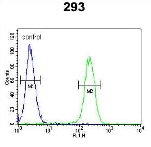 Polyclonal Rabbit anti-Human ROBO4 Antibody (aa236-264, IHC, WB)