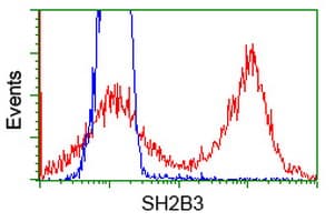 SH2B3 / LNK Antibody (clone OTI2C9)