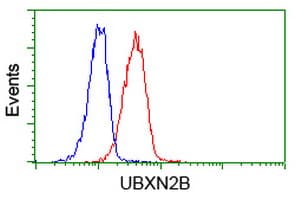 UBXN2B Antibody (clone OTI1G8, Carrier-free)