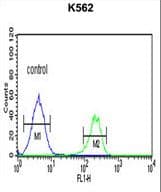 PMCH / MCH Antibody (aa94-122)