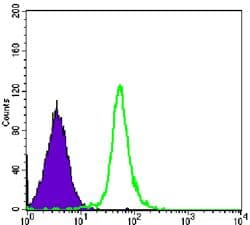 PSMC1 Antibody (clone 5B6)