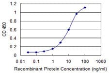 Monoclonal Mouse anti-Human CD80 Antibody (clone 1G1)