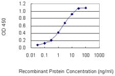 Monoclonal Mouse anti-Human Neurotrypsin Antibody (clone 1C3, WB)