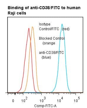 CD38 Antibody (clone AT1, FITC)