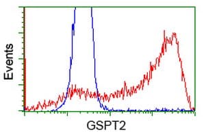 GSPT2 Antibody (clone OTI2G9)