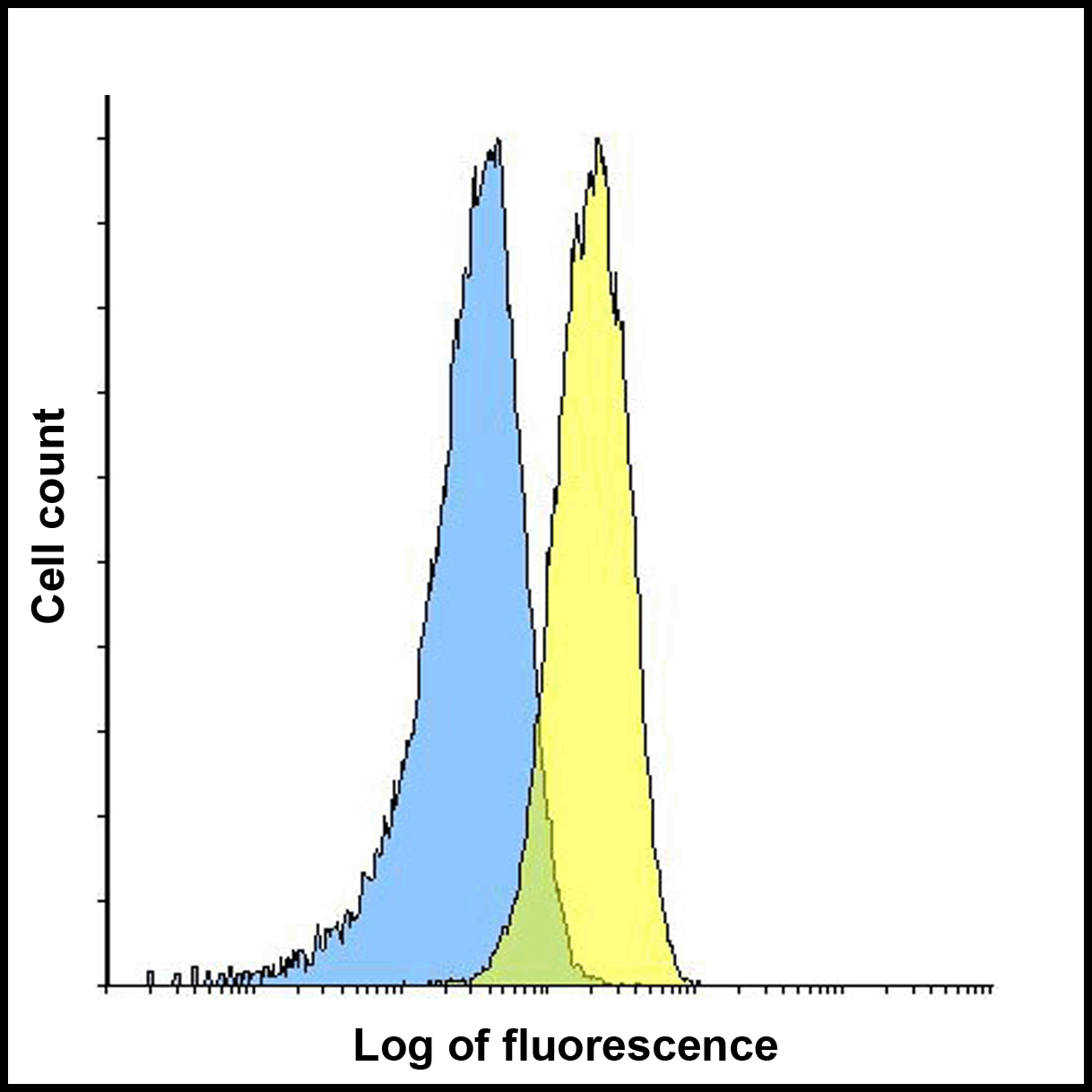 LAG3 Antibody (clone 1G4)