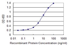 Cullin 4A / CUL4A Antibody (clone 3H3)