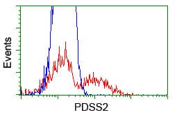 PDSS2 / DLP1 Antibody (clone OTI2A3, Carrier-free)