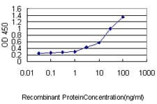 PSMA4 Antibody (clone 2A10-E4)